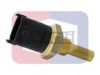 ANGLI 1893 Sensor, coolant temperature